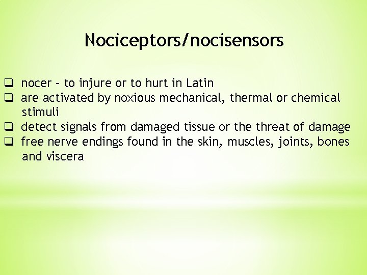 Nociceptors/nocisensors q nocer – to injure or to hurt in Latin q are activated Nociceptors/nocisensors q nocer – to injure or to hurt in Latin q are activated