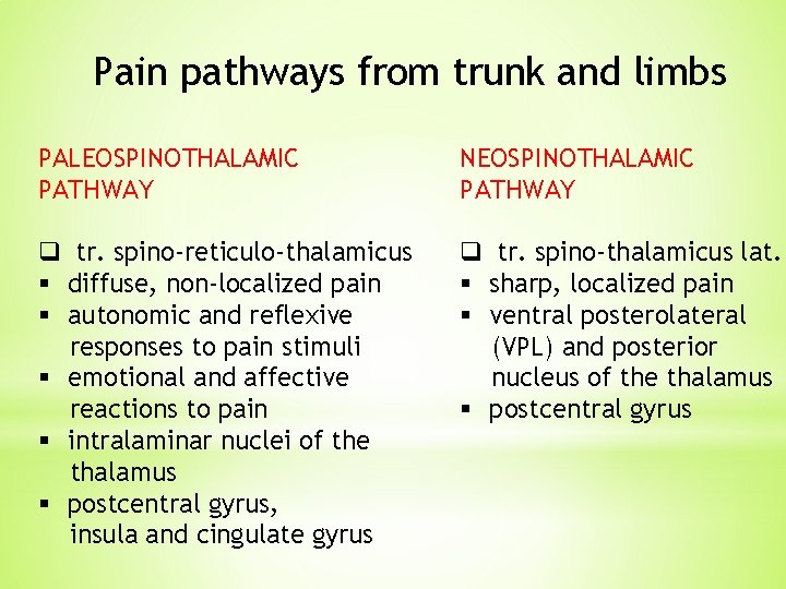 Pain pathways from trunk and limbs PALEOSPINOTHALAMIC PATHWAY NEOSPINOTHALAMIC PATHWAY q tr. spino-reticulo-thalamicus § Pain pathways from trunk and limbs PALEOSPINOTHALAMIC PATHWAY NEOSPINOTHALAMIC PATHWAY q tr. spino-reticulo-thalamicus §