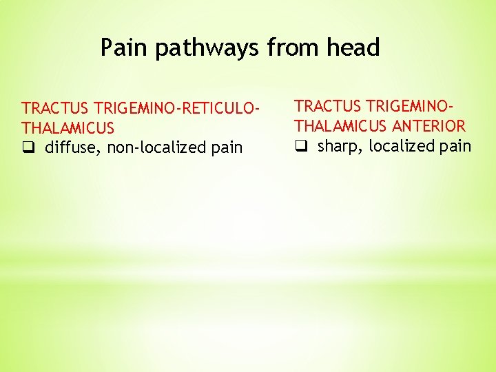 Pain pathways from head TRACTUS TRIGEMINO-RETICULOTHALAMICUS q diffuse, non-localized pain TRACTUS TRIGEMINOTHALAMICUS ANTERIOR q Pain pathways from head TRACTUS TRIGEMINO-RETICULOTHALAMICUS q diffuse, non-localized pain TRACTUS TRIGEMINOTHALAMICUS ANTERIOR q
