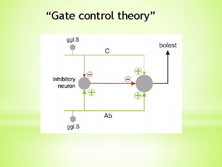 “Gate control theory” “Gate control theory”