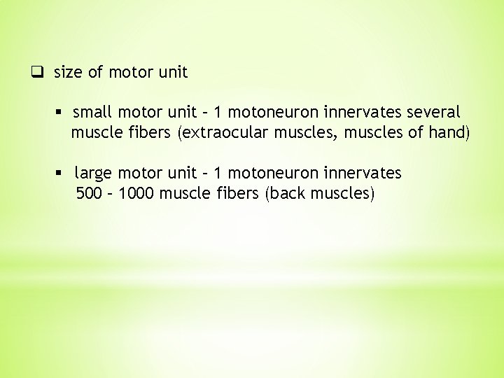 q size of motor unit § small motor unit – 1 motoneuron innervates several q size of motor unit § small motor unit – 1 motoneuron innervates several