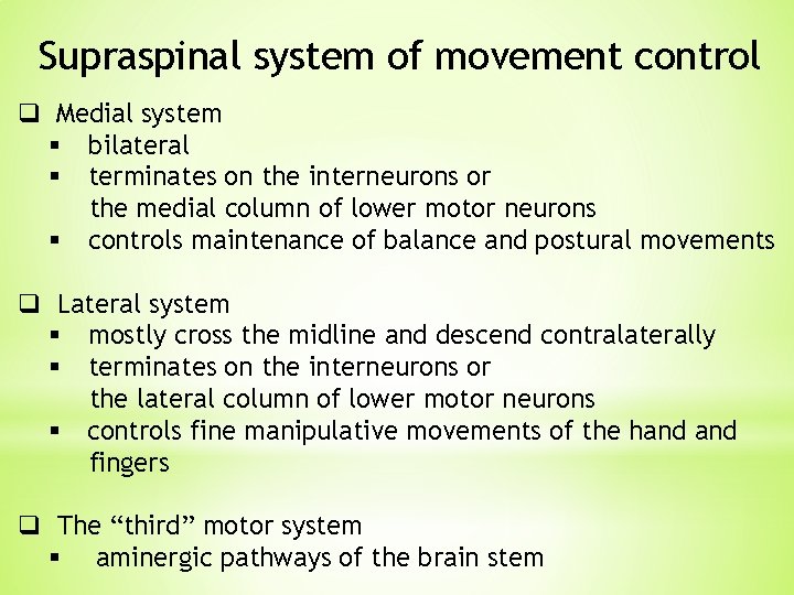 Supraspinal system of movement control q Medial system § bilateral § terminates on the Supraspinal system of movement control q Medial system § bilateral § terminates on the
