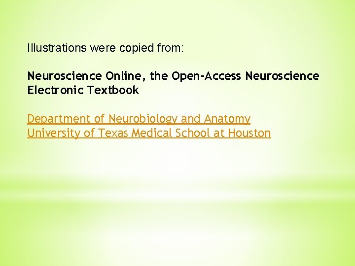 Illustrations were copied from: Neuroscience Online, the Open-Access Neuroscience Electronic Textbook Department of Neurobiology Illustrations were copied from: Neuroscience Online, the Open-Access Neuroscience Electronic Textbook Department of Neurobiology