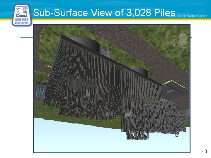 Sub-Surface View of 3, 028 Piles 43 