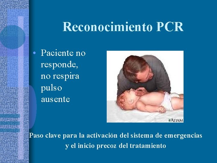Reconocimiento PCR • Paciente no responde, no respira pulso ausente Paso clave para la