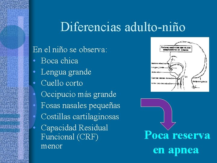 Diferencias adulto-niño En el niño se observa: • Boca chica • Lengua grande •