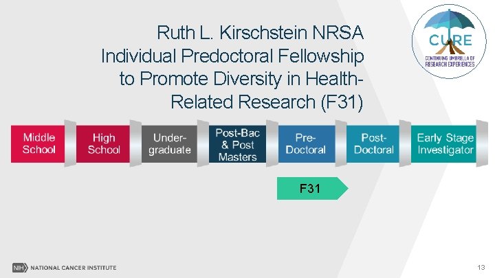 Ruth L. Kirschstein NRSA Individual Predoctoral Fellowship to Promote Diversity in Health. Related Research