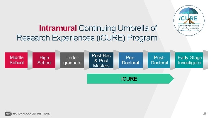 Intramural Continuing Umbrella of Research Experiences (i. CURE) Program i. CURE 28 