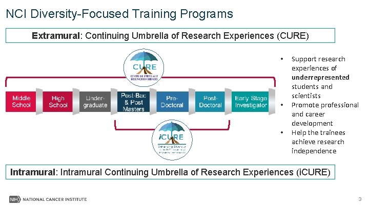 NCI Diversity-Focused Training Programs Extramural: Continuing Umbrella of Research Experiences (CURE) • • •