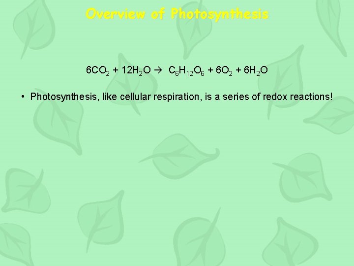 Overview of Photosynthesis 6 CO 2 + 12 H 2 O C 6 H