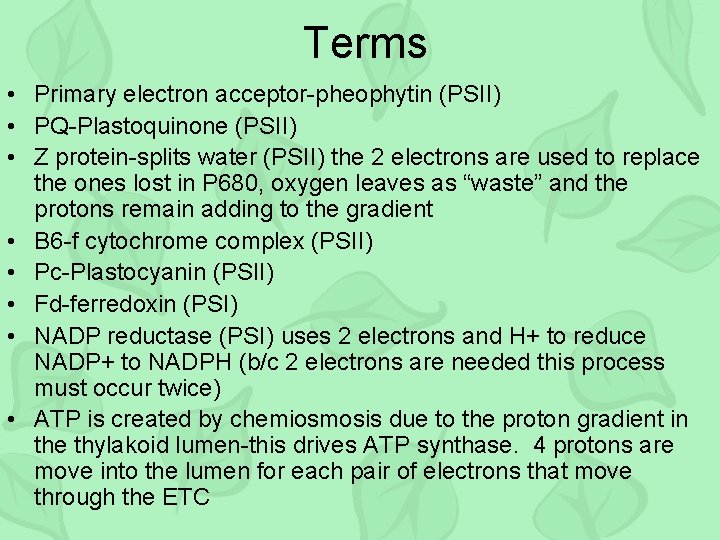 Terms • Primary electron acceptor-pheophytin (PSII) • PQ-Plastoquinone (PSII) • Z protein-splits water (PSII)