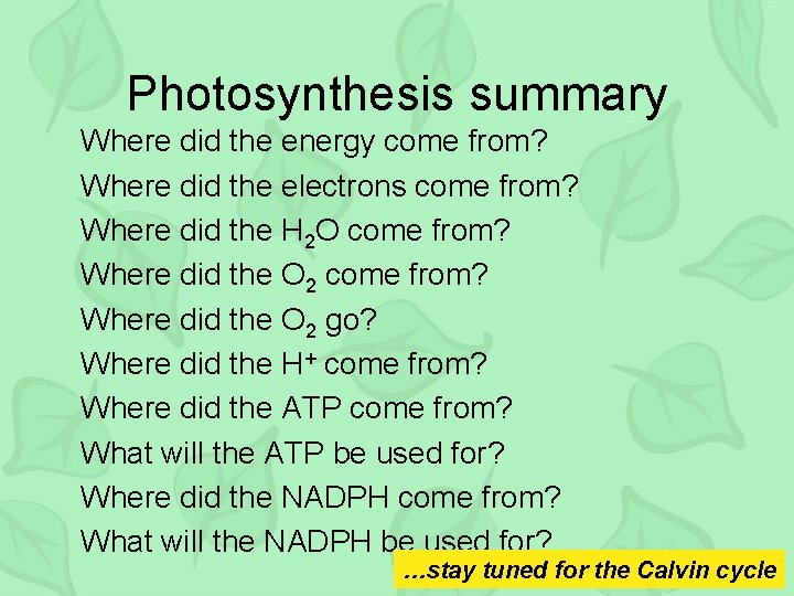 Photosynthesis summary Where did the energy come from? Where did the electrons come from?