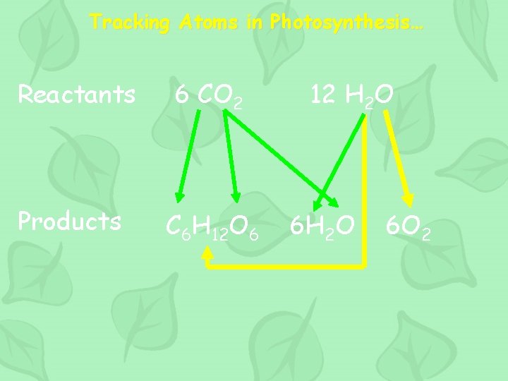 Tracking Atoms in Photosynthesis… Reactants 6 CO 2 Products C 6 H 12 O