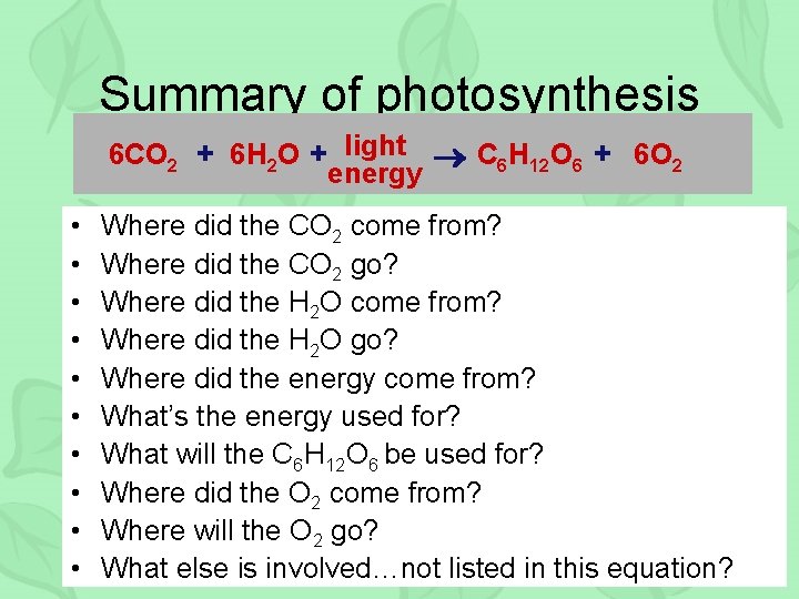 Summary of photosynthesis 6 CO 2 + 6 H 2 O + light C