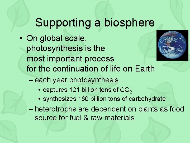 Supporting a biosphere • On global scale, photosynthesis is the most important process for