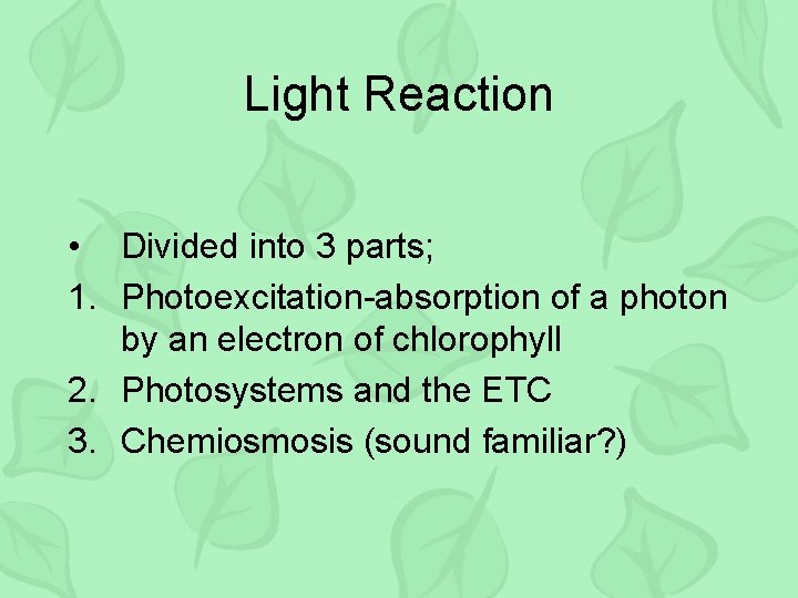 Light Reaction • Divided into 3 parts; 1. Photoexcitation-absorption of a photon by an