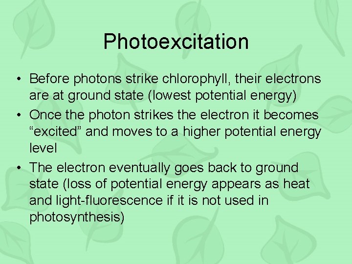 Photoexcitation • Before photons strike chlorophyll, their electrons are at ground state (lowest potential