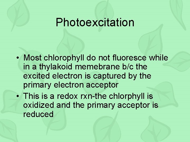 Photoexcitation • Most chlorophyll do not fluoresce while in a thylakoid memebrane b/c the