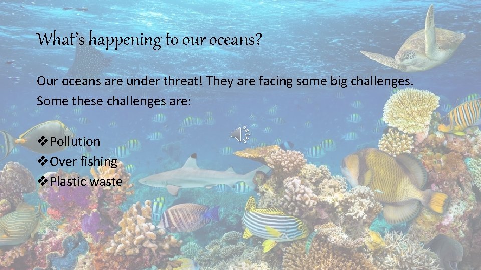 What’s happening to our oceans? Our oceans are under threat! They are facing some