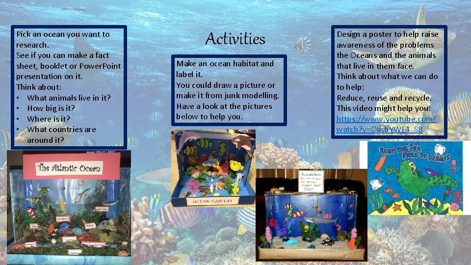 Pick an ocean you want to research. See if you can make a fact