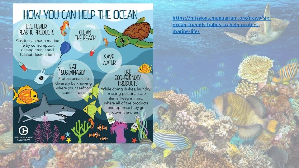 https: //mission. cmaquarium. org/news/sixocean-friendly-habits-to-help-protectmarine-life/ 