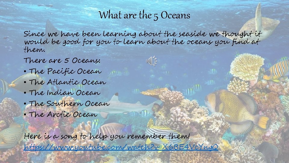 What are the 5 Oceans Since we have been learning about the seaside we