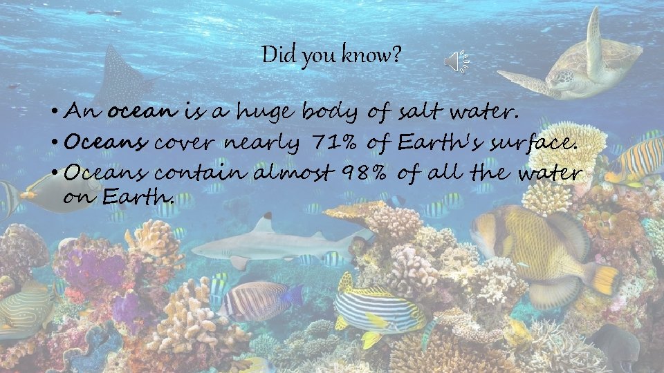 Did you know? • An ocean is a huge body of salt water. •