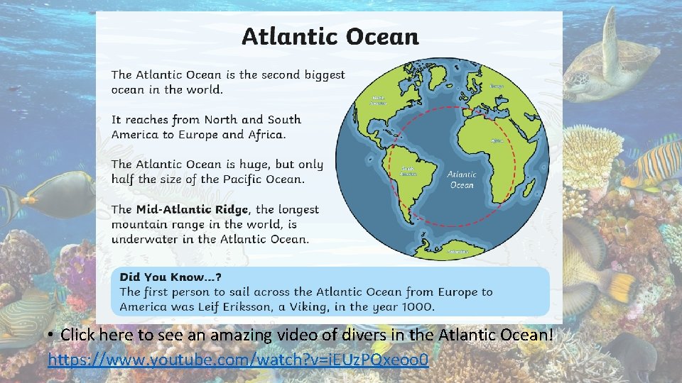  • Click here to see an amazing video of divers in the Atlantic