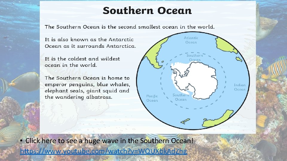  • Click here to see a huge wave in the Southern Ocean! https: