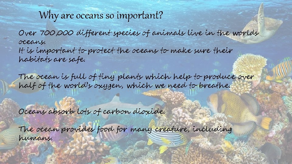 Why are oceans so important? Over 700, 000 different species of animals live in