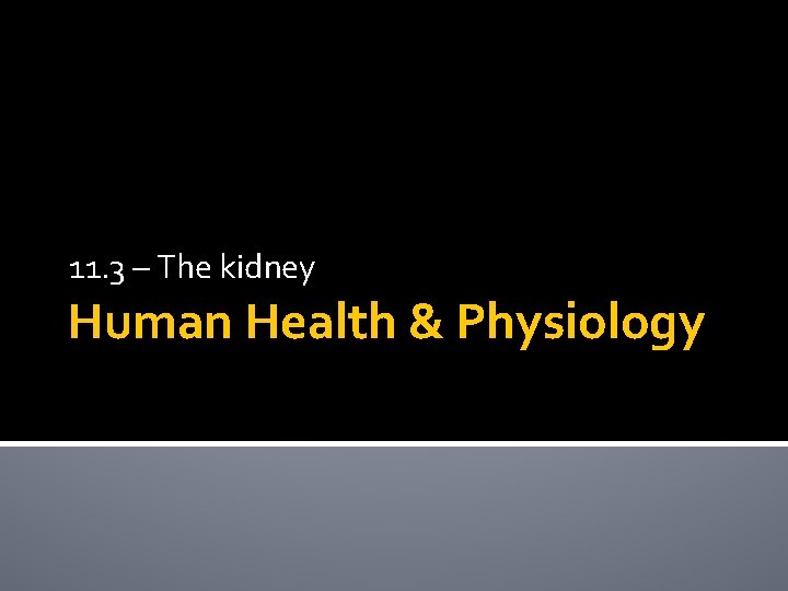 11. 3 – The kidney Human Health & Physiology 