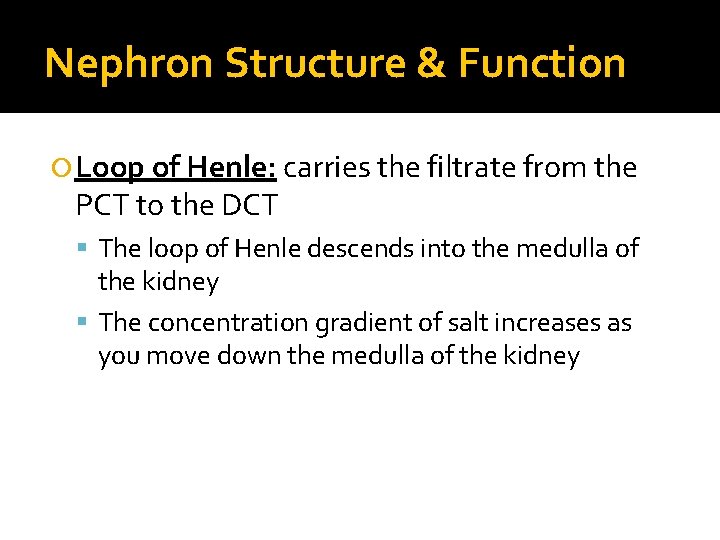 Nephron Structure & Function Loop of Henle: carries the filtrate from the PCT to