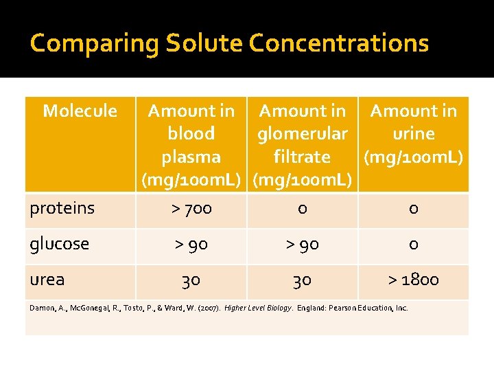 Comparing Solute Concentrations Molecule proteins glucose urea Amount in blood glomerular urine plasma filtrate