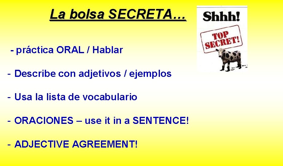 La bolsa SECRETA… - práctica ORAL / Hablar - Describe con adjetivos / ejemplos