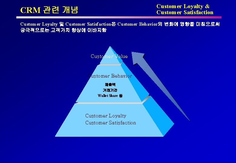 Customer Loyalty & Customer Satisfaction CRM 관련 개념 Customer Loyalty 및 Customer Satisfaction은 Customer