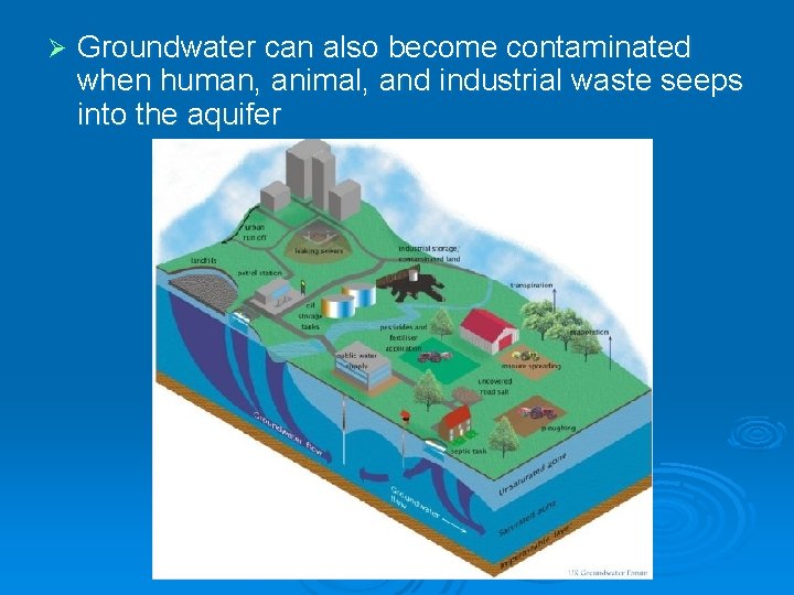 Ø Groundwater can also become contaminated when human, animal, and industrial waste seeps into