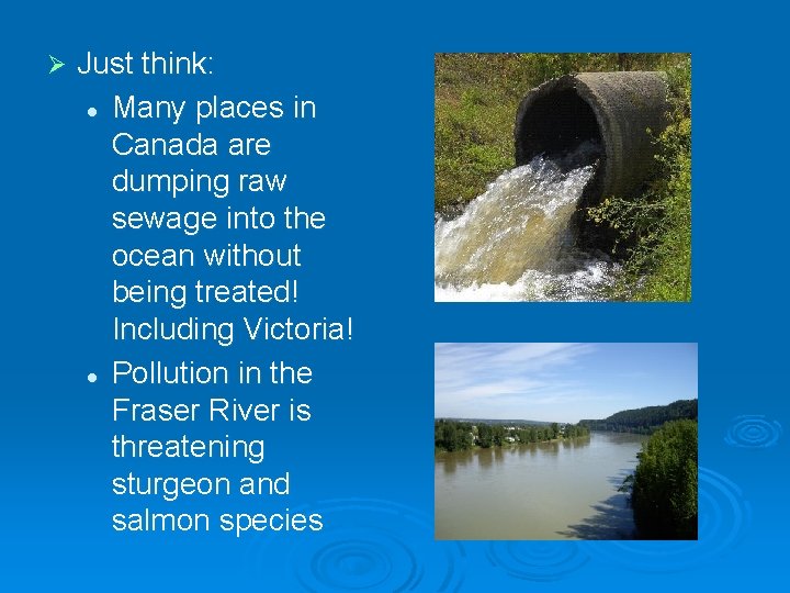 Ø Just think: l Many places in Canada are dumping raw sewage into the