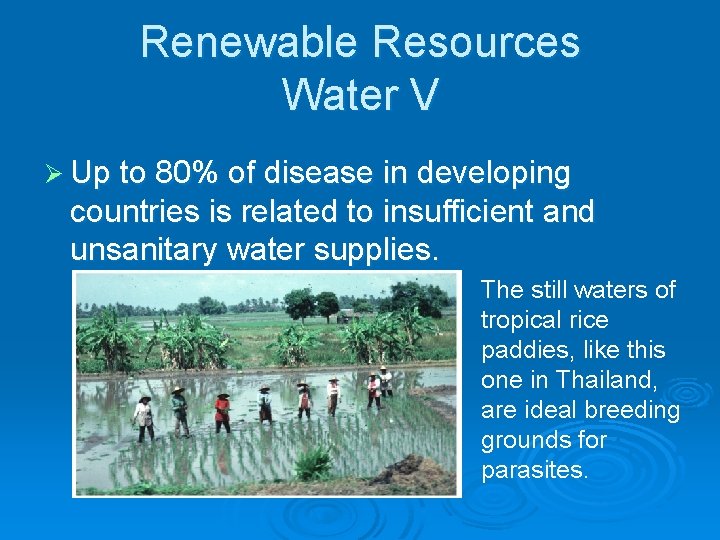 Renewable Resources Water V Ø Up to 80% of disease in developing countries is