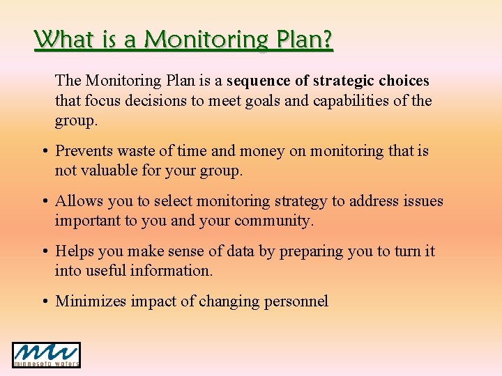 What is a Monitoring Plan? The Monitoring Plan is a sequence of strategic choices What is a Monitoring Plan? The Monitoring Plan is a sequence of strategic choices
