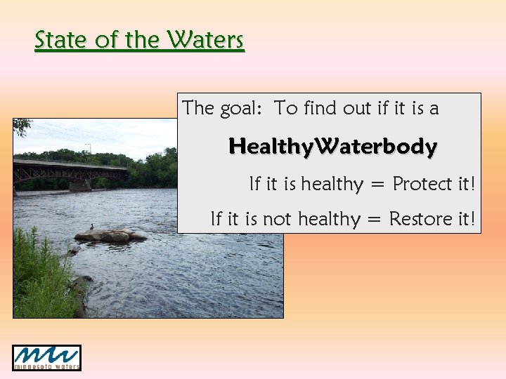 State of the Waters The goal: To find out if it is a Healthy State of the Waters The goal: To find out if it is a Healthy