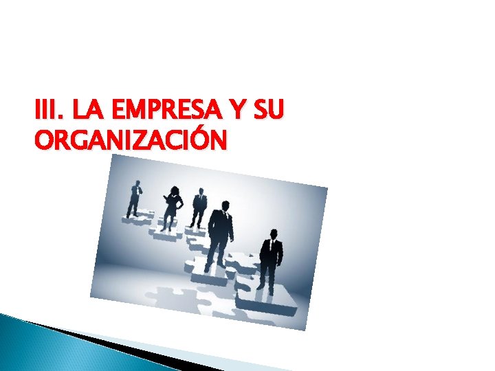 III. LA EMPRESA Y SU ORGANIZACIÓN 