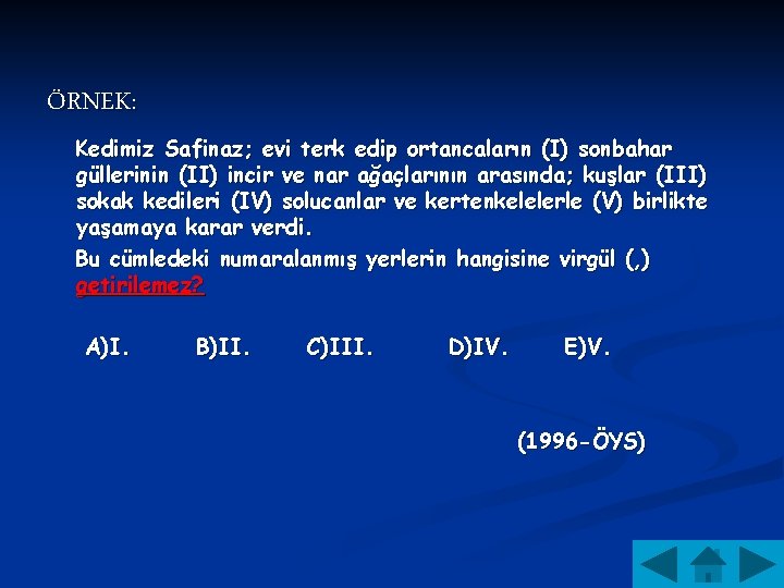 ÖRNEK: Kedimiz Safinaz; evi terk edip ortancaların (I) sonbahar güllerinin (II) incir ve nar