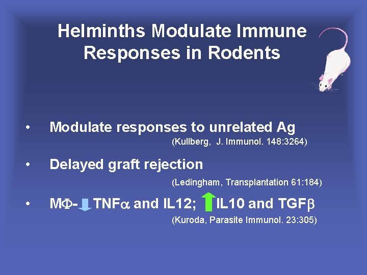Helminths Modulate Immune Responses in Rodents • Modulate responses to unrelated Ag (Kullberg, J.