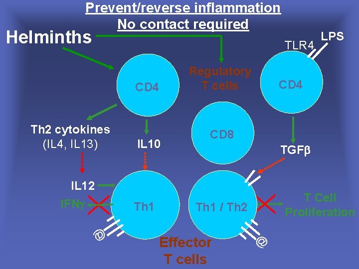 Prevent/reverse inflammation No contact required Helminths TLR 4 CD 4 Th 2 cytokines (IL