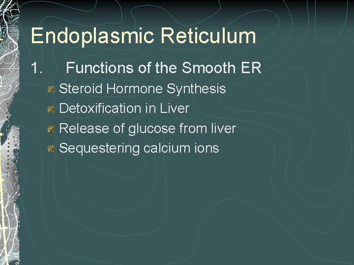 Endoplasmic Reticulum 1. Functions of the Smooth ER Steroid Hormone Synthesis Detoxification in Liver Endoplasmic Reticulum 1. Functions of the Smooth ER Steroid Hormone Synthesis Detoxification in Liver