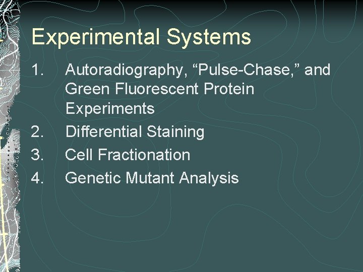 Experimental Systems 1. 2. 3. 4. Autoradiography, “Pulse-Chase, ” and Green Fluorescent Protein Experiments Experimental Systems 1. 2. 3. 4. Autoradiography, “Pulse-Chase, ” and Green Fluorescent Protein Experiments