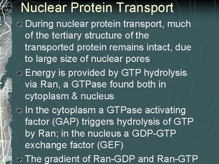 Nuclear Protein Transport During nuclear protein transport, much of the tertiary structure of the Nuclear Protein Transport During nuclear protein transport, much of the tertiary structure of the