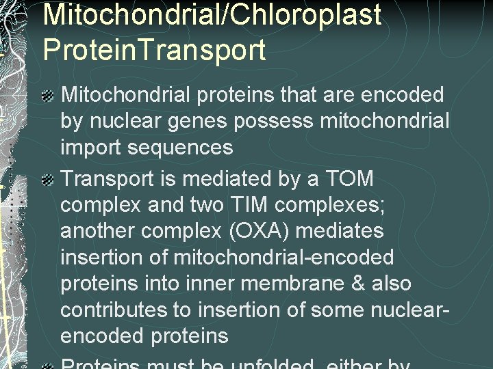 Mitochondrial/Chloroplast Protein. Transport Mitochondrial proteins that are encoded by nuclear genes possess mitochondrial import Mitochondrial/Chloroplast Protein. Transport Mitochondrial proteins that are encoded by nuclear genes possess mitochondrial import