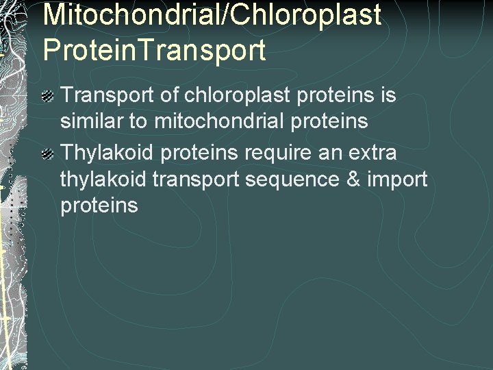 Mitochondrial/Chloroplast Protein. Transport of chloroplast proteins is similar to mitochondrial proteins Thylakoid proteins require Mitochondrial/Chloroplast Protein. Transport of chloroplast proteins is similar to mitochondrial proteins Thylakoid proteins require