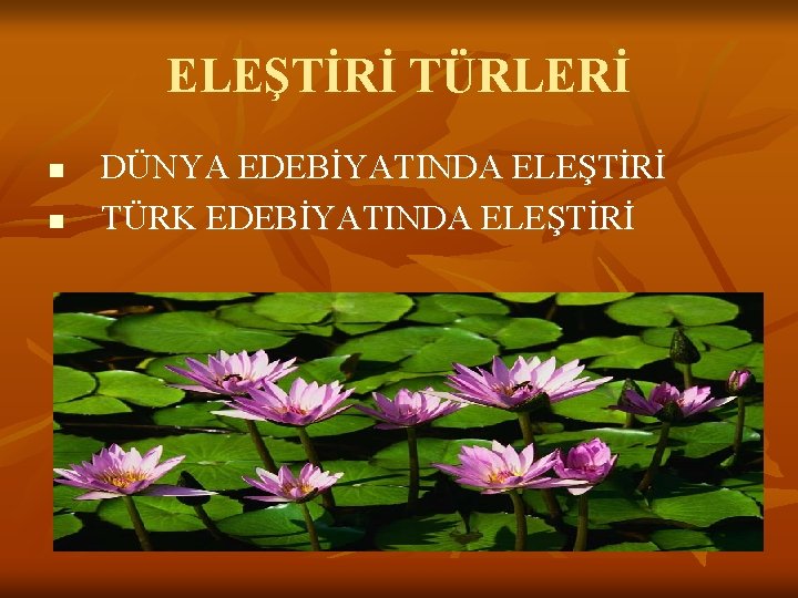 ELEŞTİRİ TÜRLERİ n n DÜNYA EDEBİYATINDA ELEŞTİRİ TÜRK EDEBİYATINDA ELEŞTİRİ 